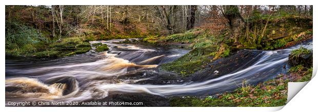 Autumn river on the River Washburn, Yorkshire Dales. Print by Chris North