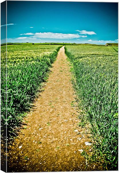 path to infinity Canvas Print by paul forgette