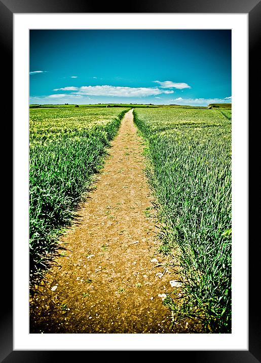 path to infinity Framed Mounted Print by paul forgette
