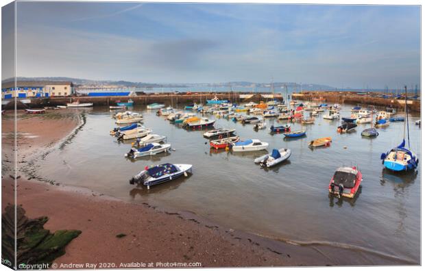 Paignton Harbour Canvas Print by Andrew Ray