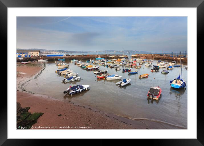 Paignton Harbour Framed Mounted Print by Andrew Ray