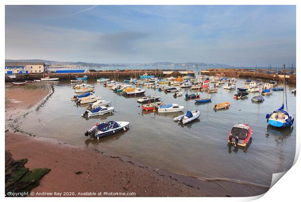 Paignton Harbour Print by Andrew Ray