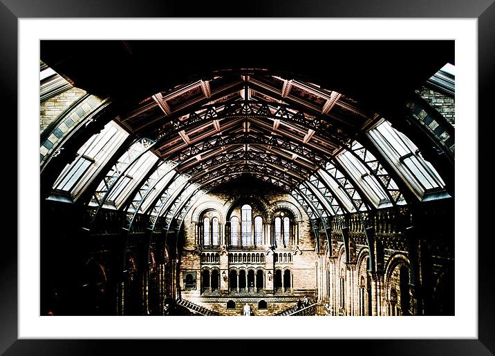 Natural History Museum HDR Framed Mounted Print by paul forgette