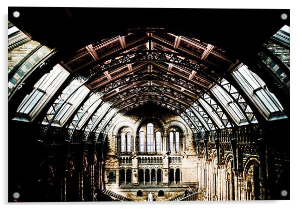 Natural History Museum HDR Acrylic by paul forgette