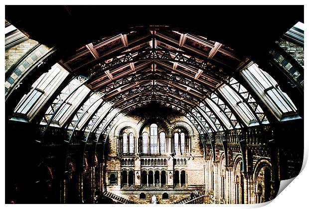 Natural History Museum HDR Print by paul forgette