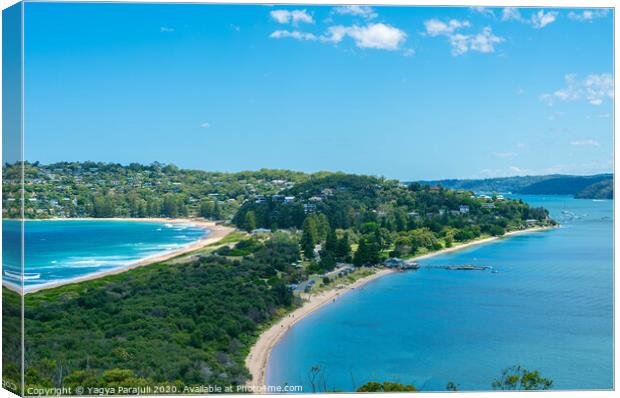 palm beach from the top of the hill Canvas Print by Yagya Parajuli