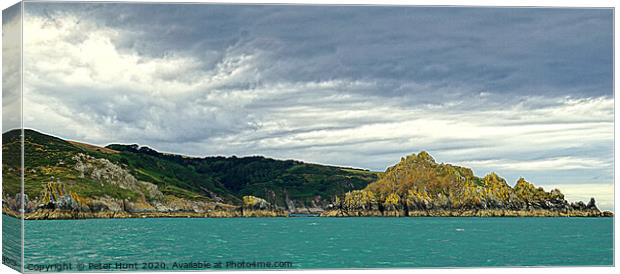 The River Dart Estuary Canvas Print by Peter F Hunt