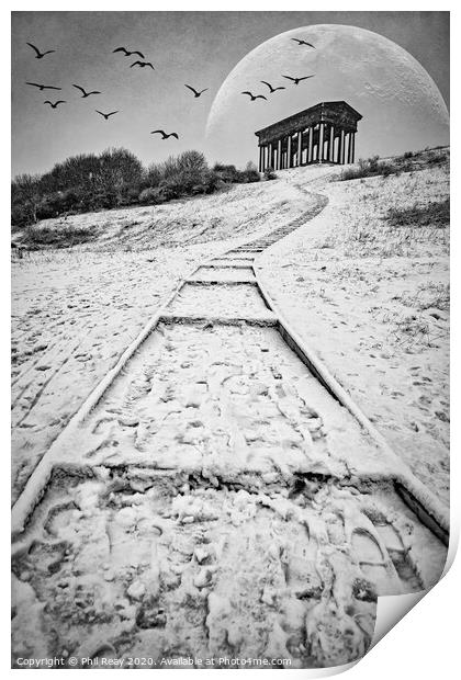 Penshaw Monument Print by Phil Reay