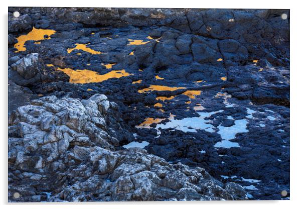 Rockpool reflections, Costa Silencio, Tenerife Acrylic by Phil Crean