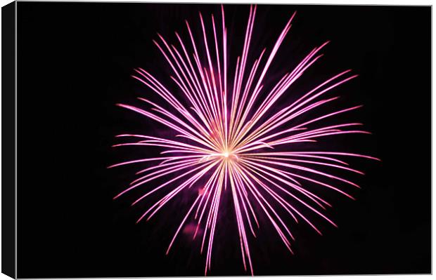 pink spark Canvas Print by paul forgette