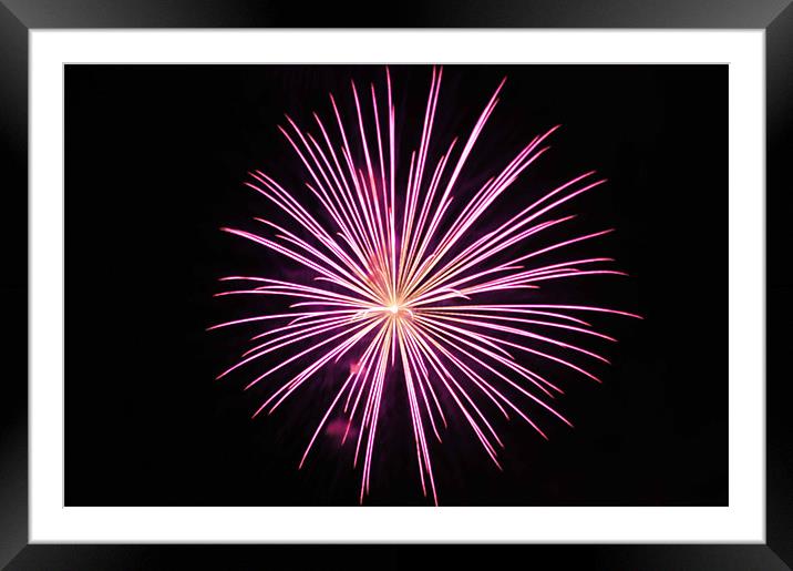 pink spark Framed Mounted Print by paul forgette