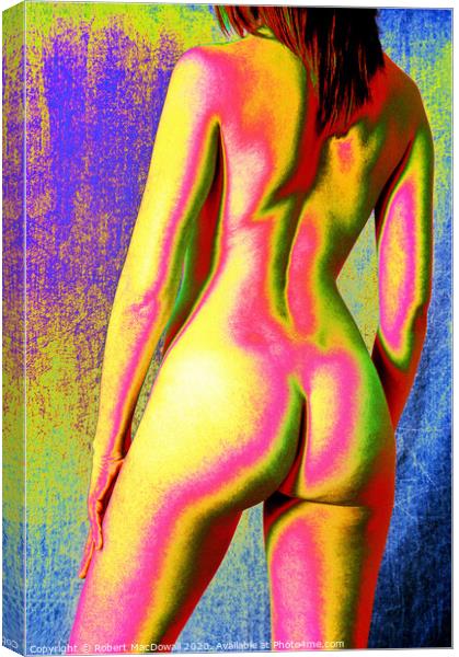Rainbow torso Canvas Print by Robert MacDowall