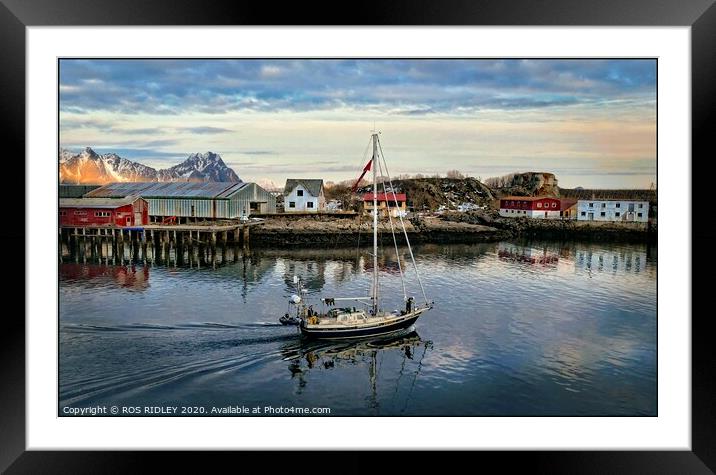 Sailing in Svolvaer Norway Framed Mounted Print by ROS RIDLEY