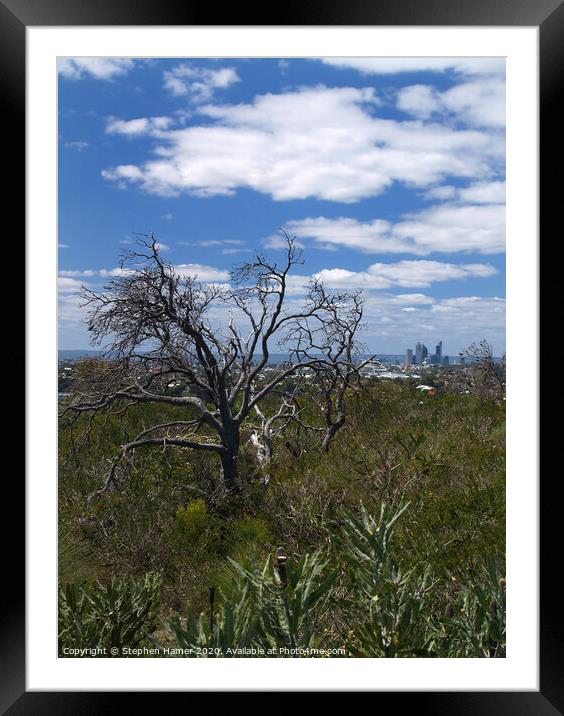 Perth from the Bush Framed Mounted Print by Stephen Hamer