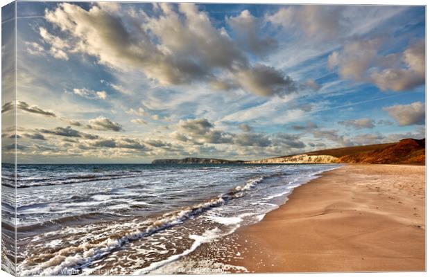 Compton Bay Beach Canvas Print by Wight Landscapes