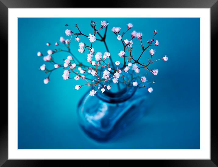 BABYBREATH Framed Mounted Print by Birgit Heinz