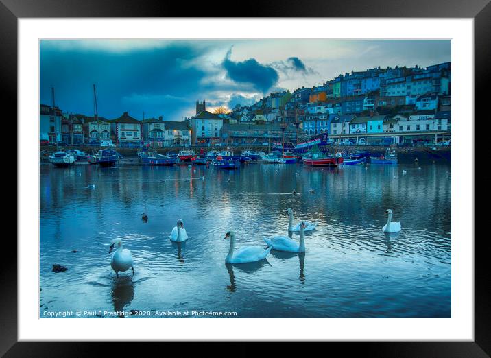 Brixham Harbour with Swans Framed Mounted Print by Paul F Prestidge