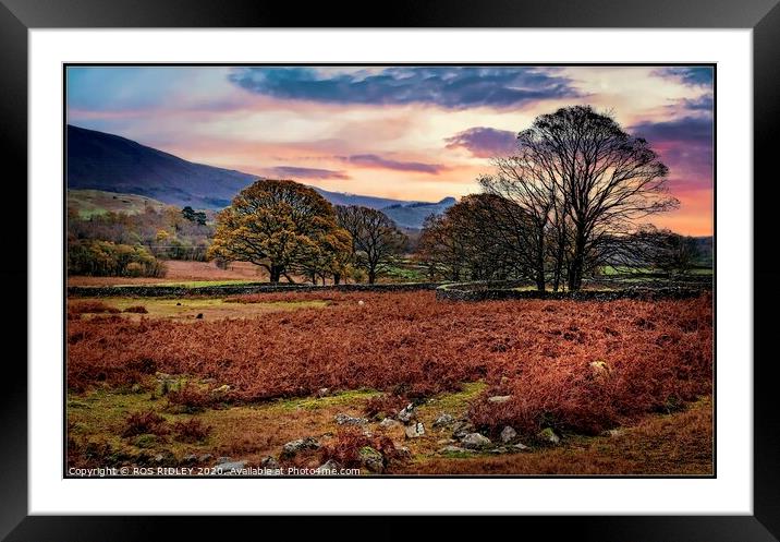 Wasdale Late Autumn  Framed Mounted Print by ROS RIDLEY
