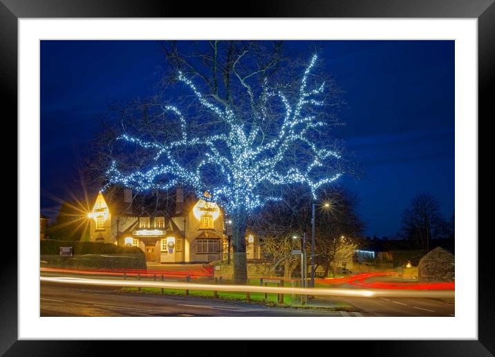 Jubilee Tree, Barnburgh  Framed Mounted Print by Darren Galpin