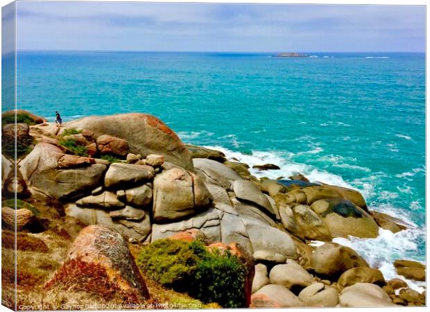 Granite Island off Victor Harbour, South Australia  Canvas Print by Gaynor Ball