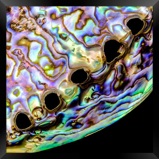 Abalone shell closeup Framed Print by Jim Hughes