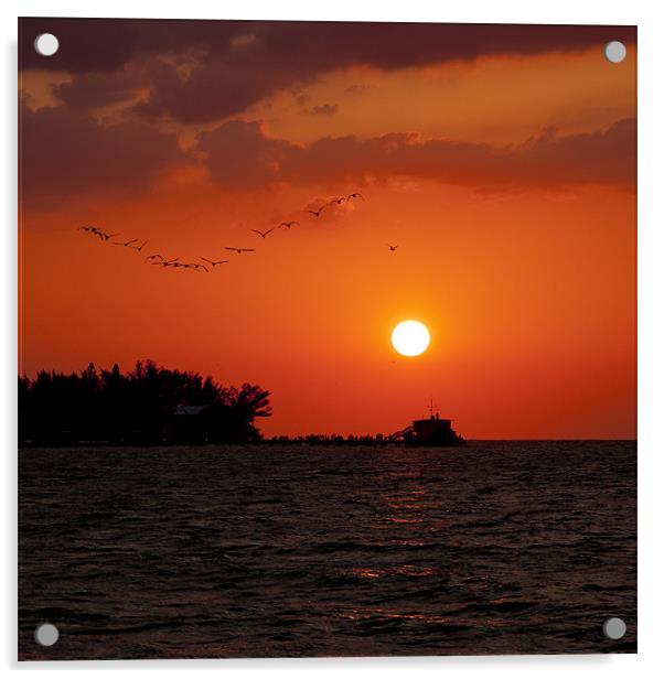 Anna Maria Island, Florida, Sunset Acrylic by Jan Ekstrøm