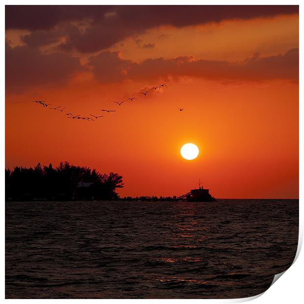 Anna Maria Island, Florida, Sunset Print by Jan Ekstrøm
