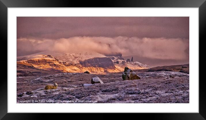 Hunkered down to try stay warm despite the frosty fleece. Framed Mounted Print by Richard Smith