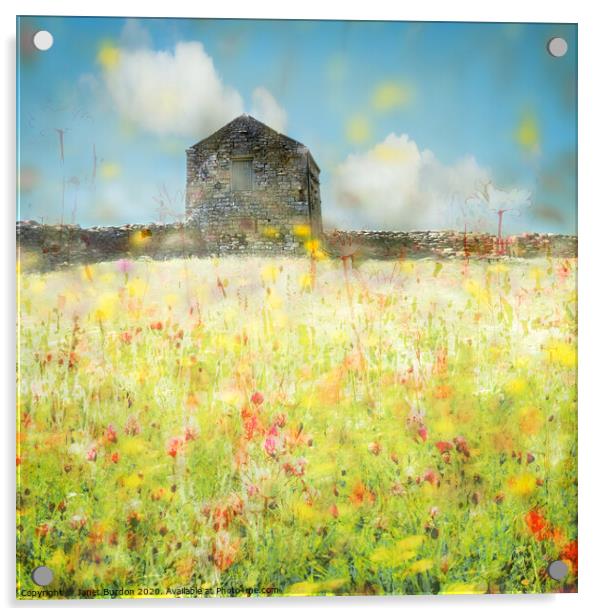 Swaledale Meadow 1 Acrylic by Janet Burdon