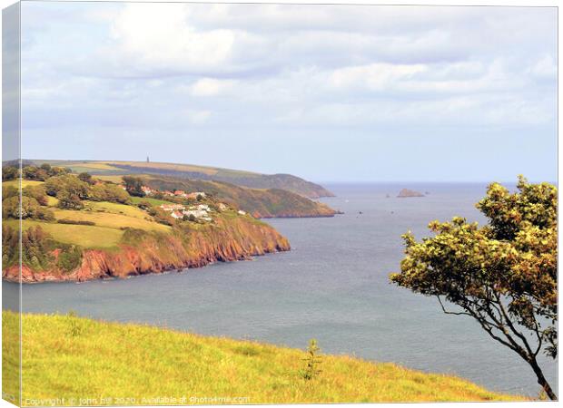 Coastline of South  Devon from the cliff coast path. Canvas Print by john hill