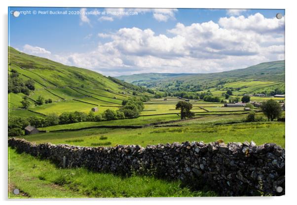 Upper Swaledale valley in Yorkshire Dales Acrylic by Pearl Bucknall