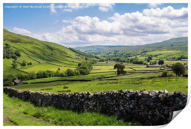 Upper Swaledale valley in Yorkshire Dales Print by Pearl Bucknall