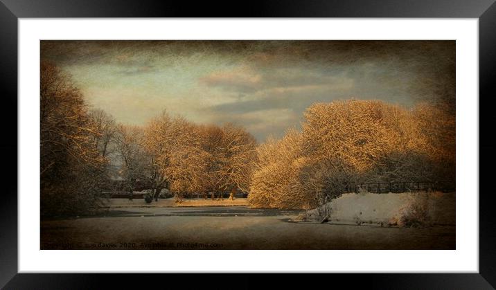 Plant tree Framed Mounted Print by sue davies