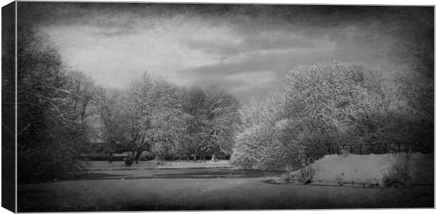 snow scene at walton hall park  Canvas Print by sue davies