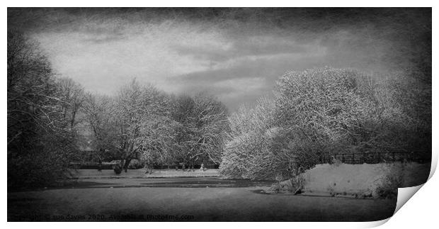 snow scene at walton hall park  Print by sue davies