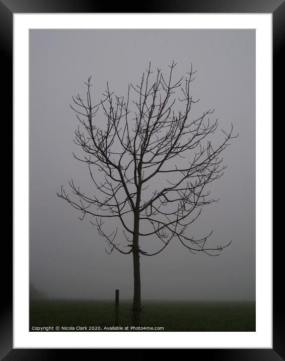 Rowan In The Winter Fog Framed Mounted Print by Nicola Clark