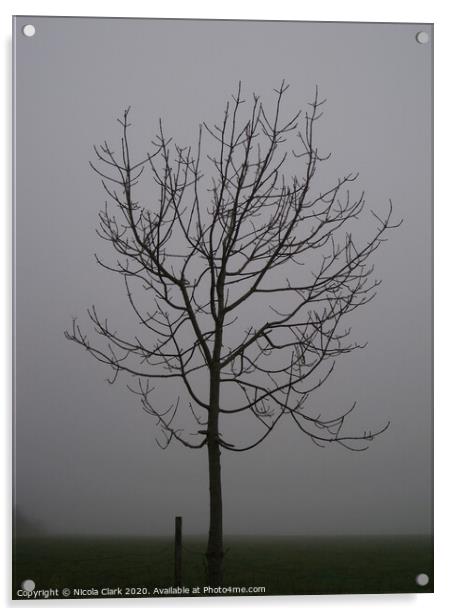 Rowan In The Winter Fog Acrylic by Nicola Clark
