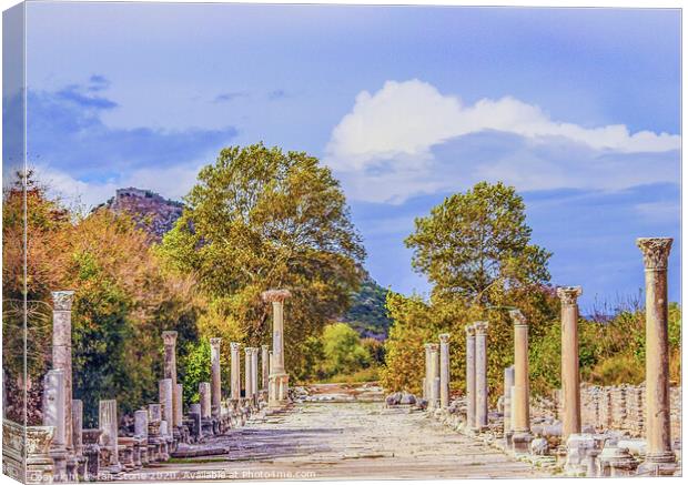 Ephesus  Canvas Print by Ian Stone