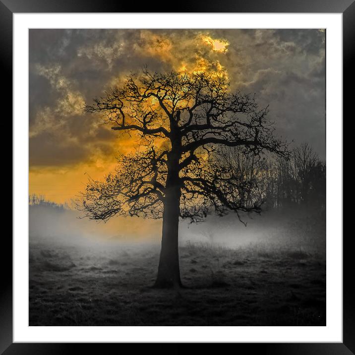 Haunted Tree Sunrise at Hawley Meadows in Hampshir Framed Mounted Print by Dave Williams