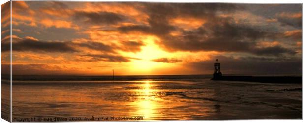 The golden hour Canvas Print by sue davies