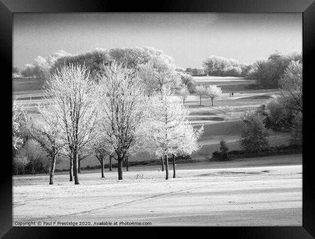 Hoar Frost on the Golf Course,  Monochrome Framed Print by Paul F Prestidge