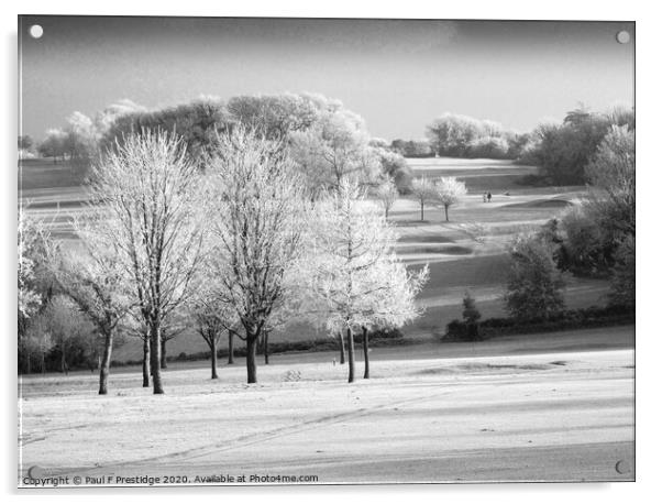 Hoar Frost on the Golf Course,  Monochrome Acrylic by Paul F Prestidge