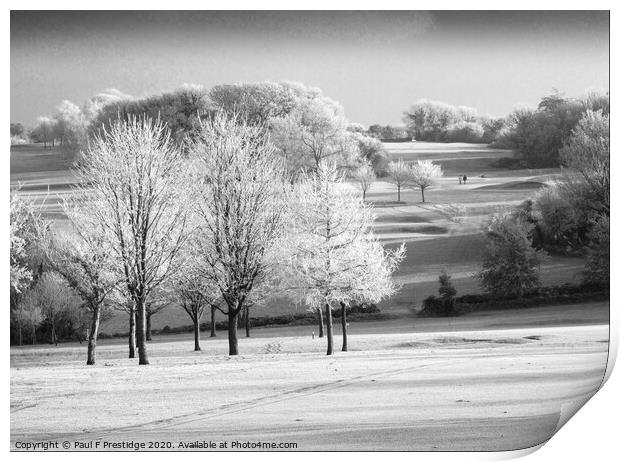 Hoar Frost on the Golf Course,  Monochrome Print by Paul F Prestidge