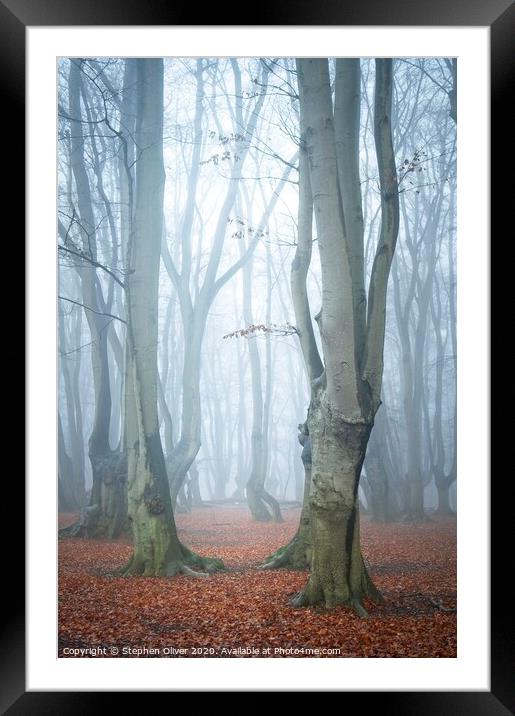 Cool Forest Framed Mounted Print by Stephen Oliver