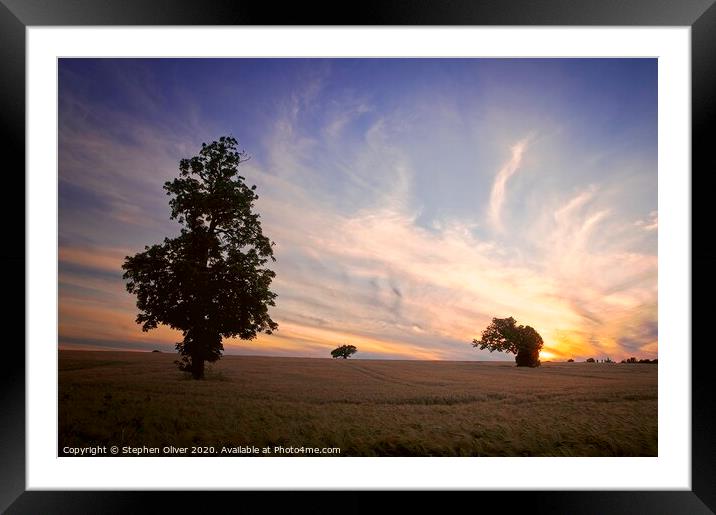 The Bowing Tree Framed Mounted Print by Stephen Oliver