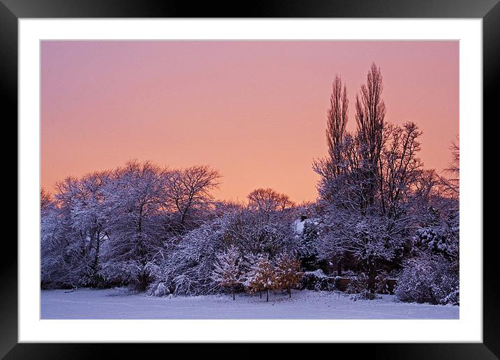 Snow Scene at Sunrise Framed Mounted Print by David Pringle