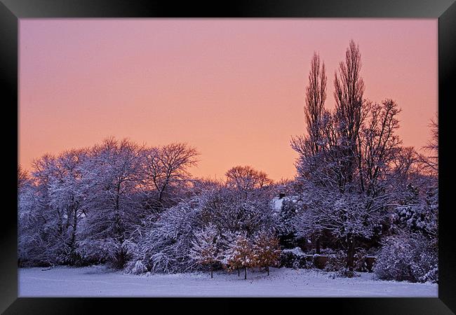 Snow Scene at Sunrise Framed Print by David Pringle