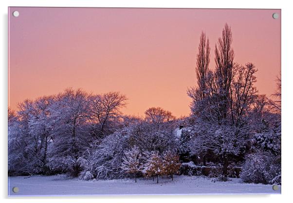 Snow Scene at Sunrise Acrylic by David Pringle