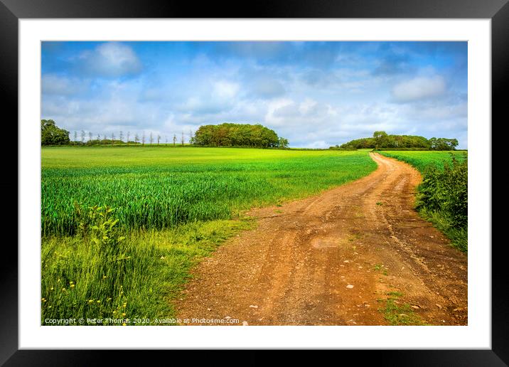 Serene Farm Track Framed Mounted Print by Peter Thomas