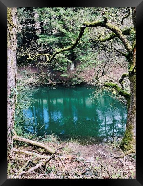 Forestry pool Framed Print by Gaynor Ball